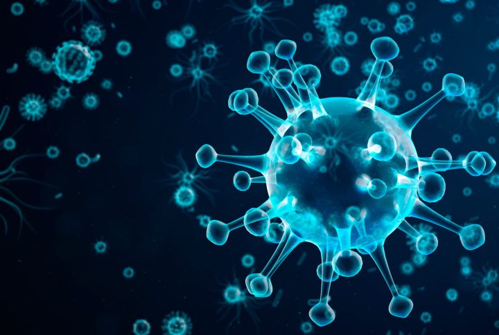 Virus: ¿Qué sabes sobre ellos?