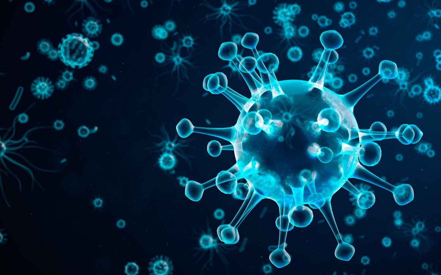 Virus: ¿Qué sabes sobre ellos?